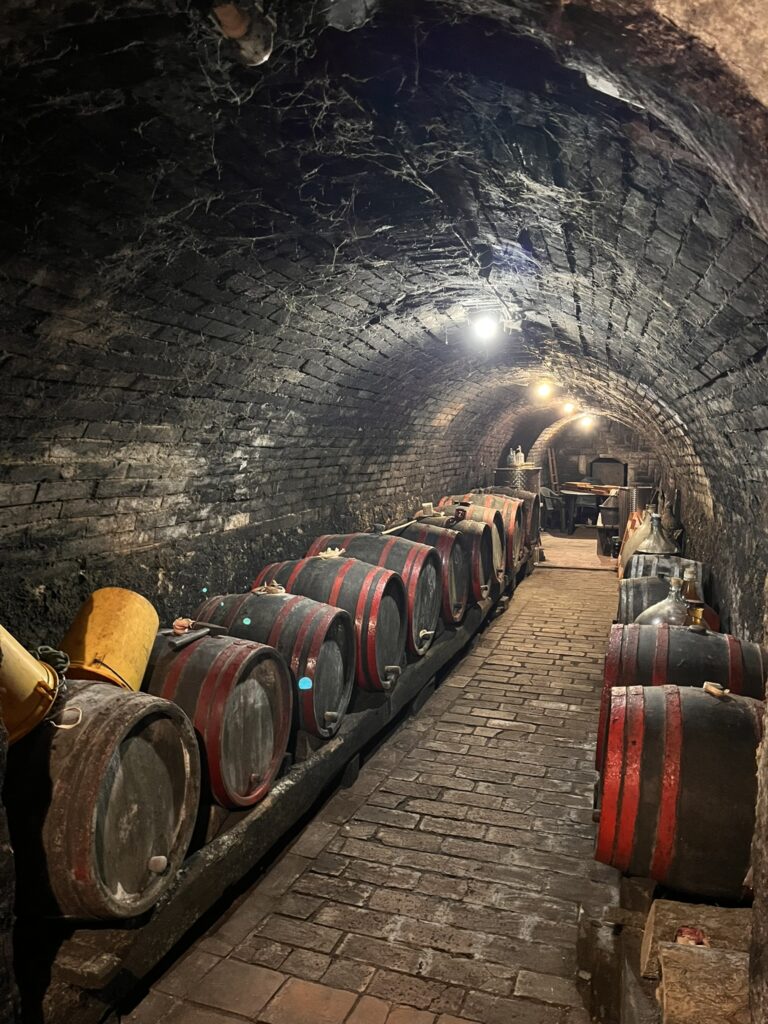 Dark wine cellar with a bunch of barrels