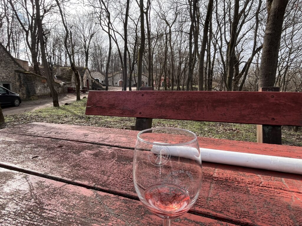 At a picnic table with a glass of rose wine in the village of paty, hungary