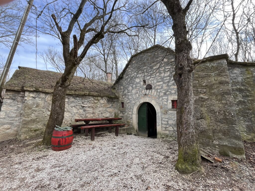 Little wine cellar in Paty.