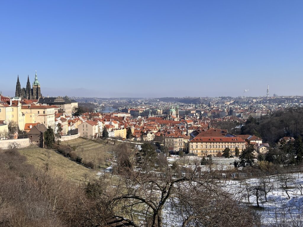 Views of Prague from the monestary. Lots of architecture