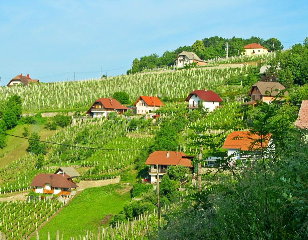 Hillside with little houses