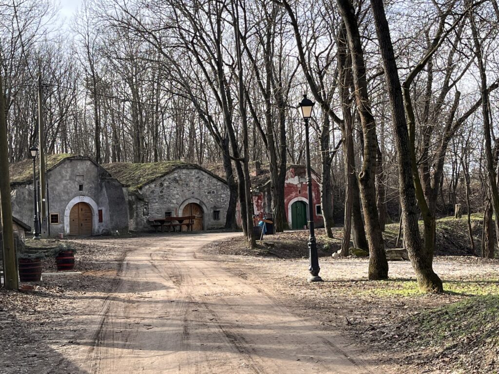 Village of Paty. Trees, quaint, little road.