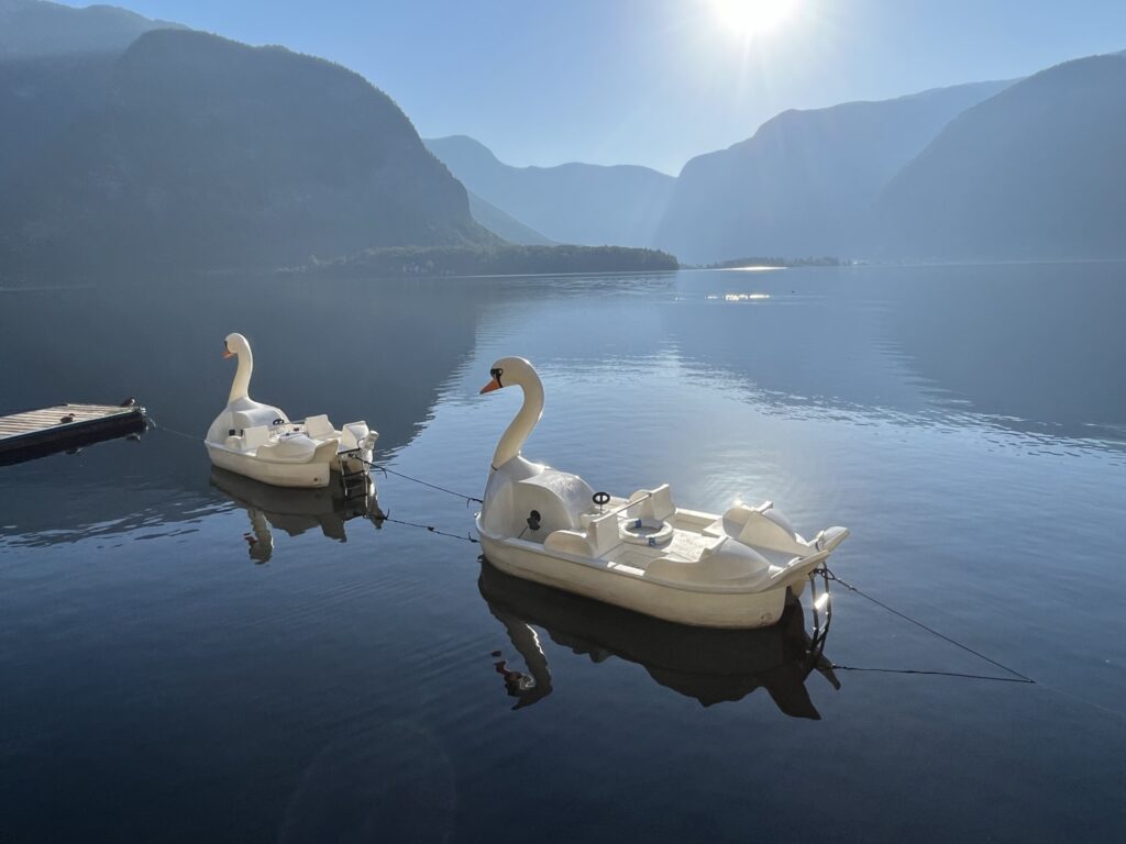 Swan boats on lake