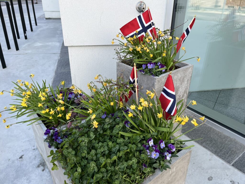 potted plants and norwegian flags