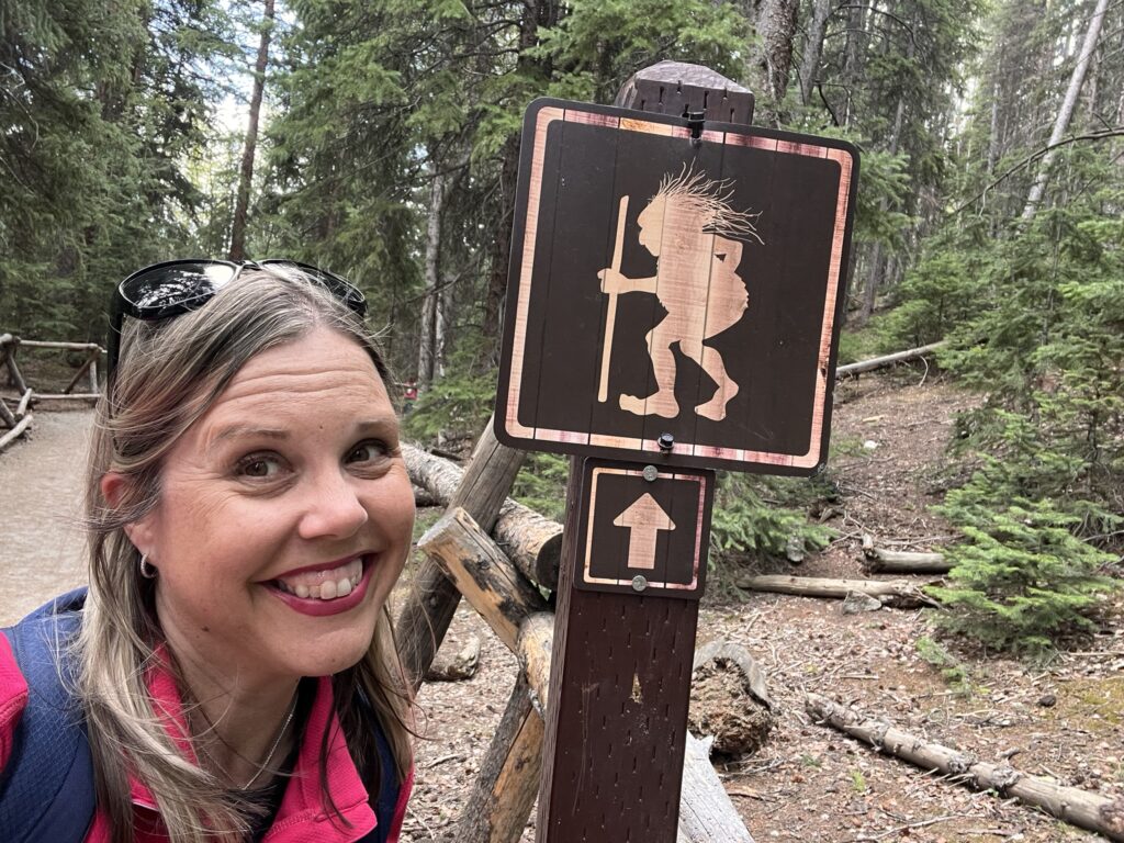 troll sign