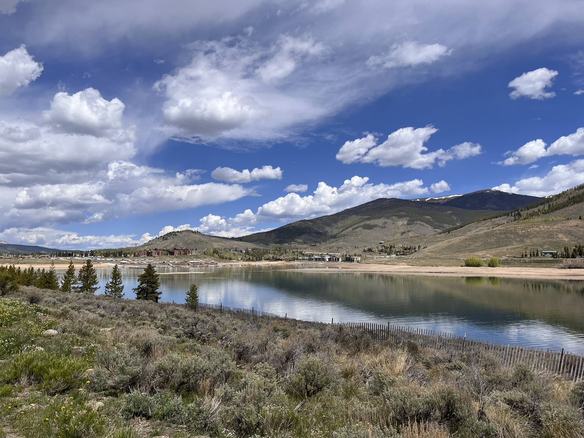 Dillon Lake on a walk