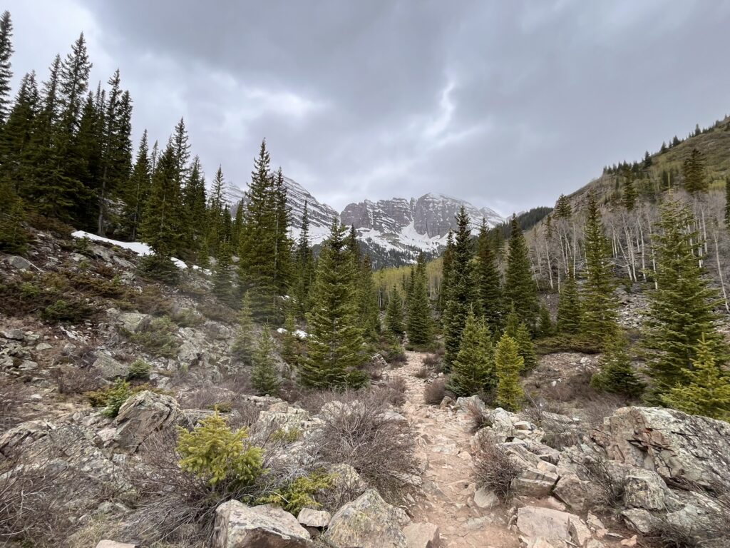 forest, rocks, mountains