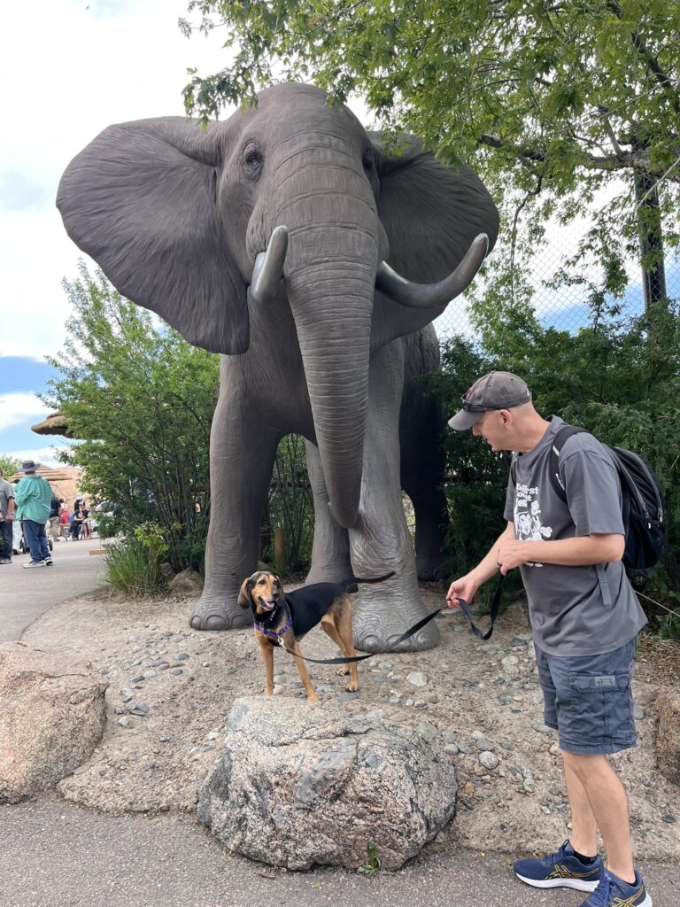 man and dog in front of elephant sculpture