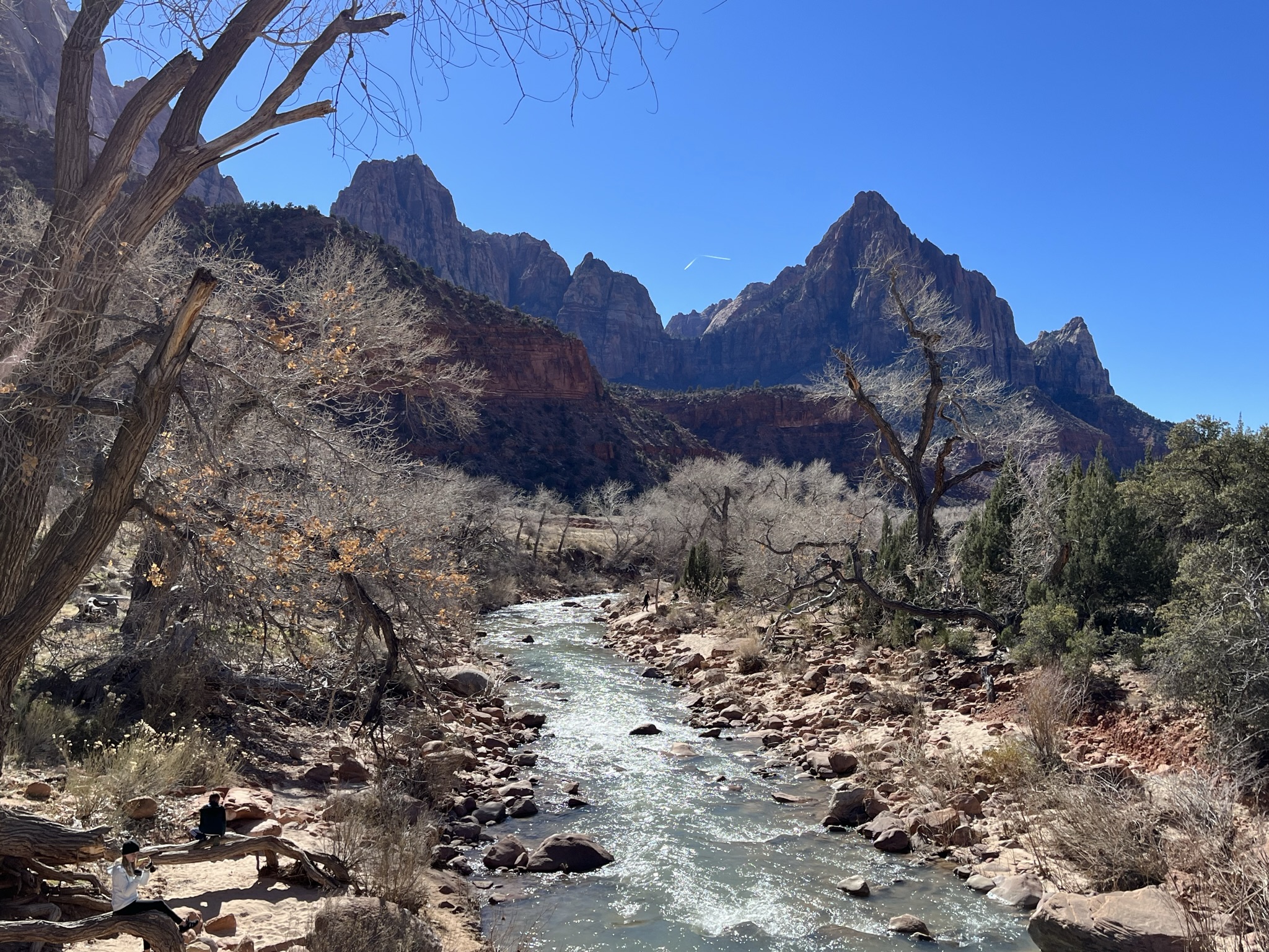 zion national park