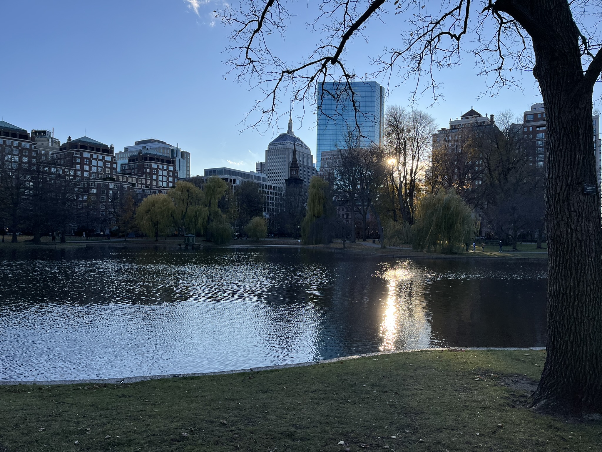 Boston Public Garden