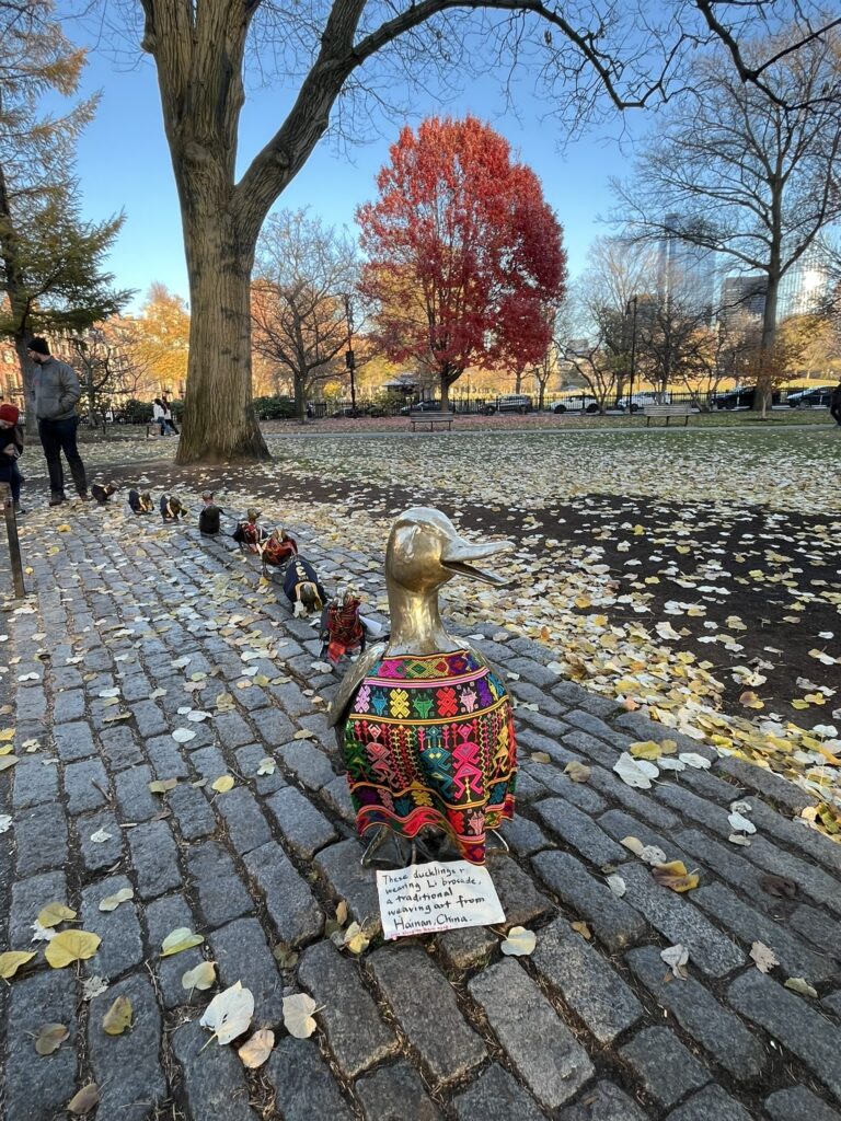 ducks in boston garden