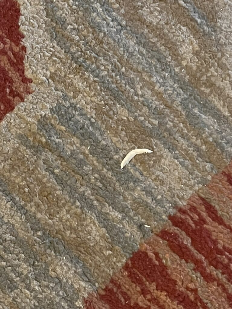 toe nail on floor at boulders