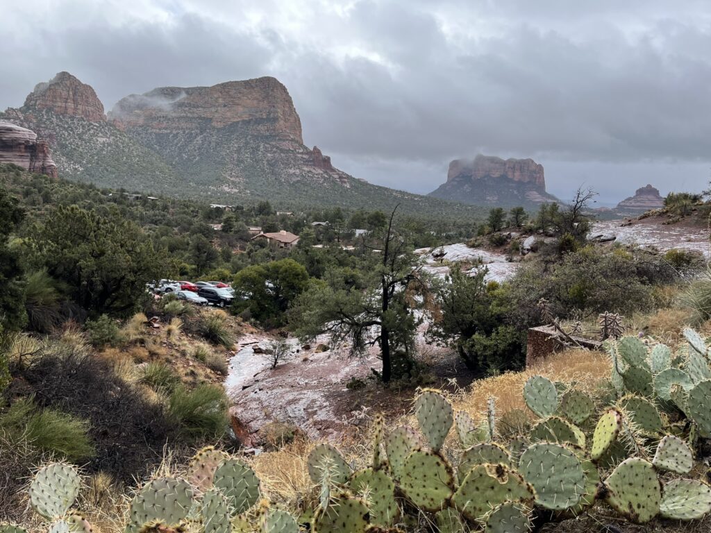 Winter in sedona and cacti