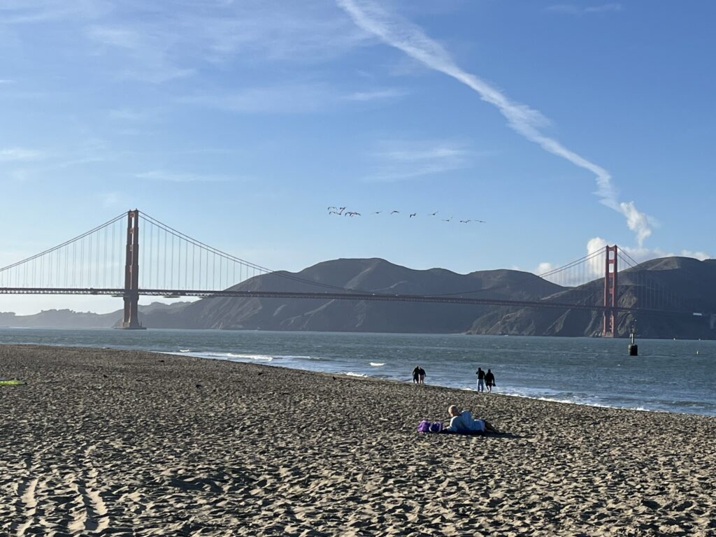 Chrissy Field San Francisco