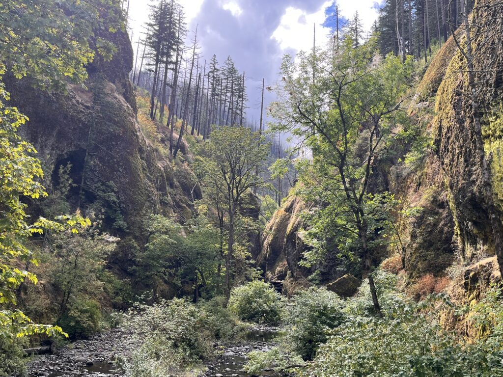 Ontaona Gorge