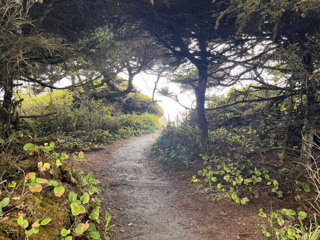 Walking to Seal Rock
