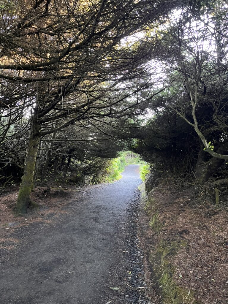 Hobbit Trail walkway