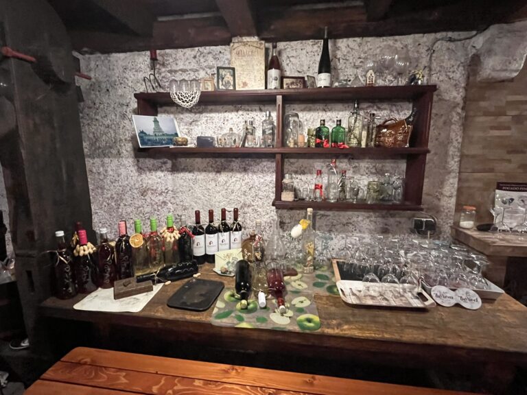 Unique Day Trip from Budapest: Countryside Wine Experience