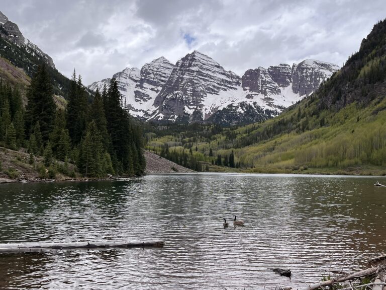 Snowcapped Mountains, green mountains, lake with geese