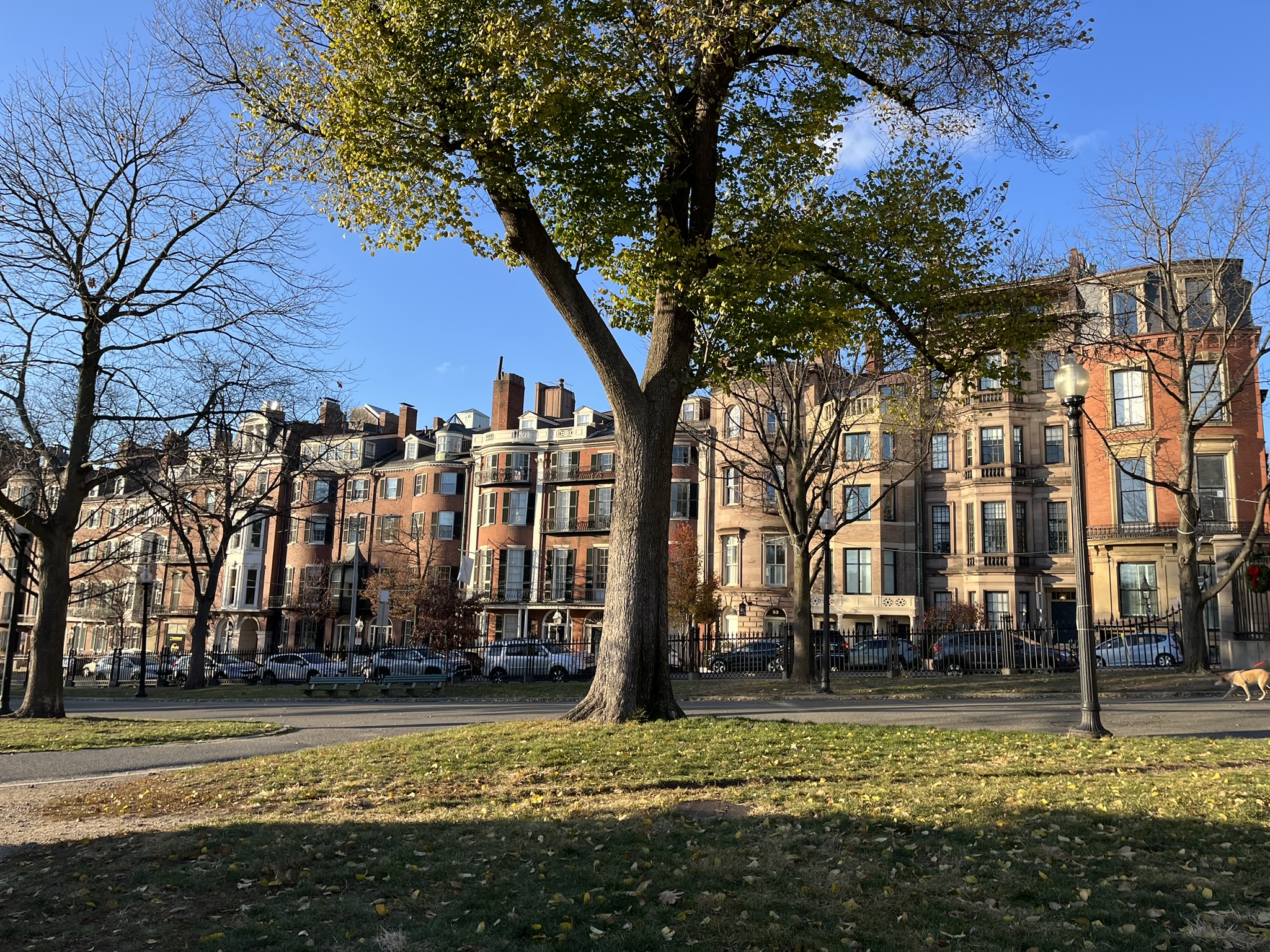 Beautiful boston homes