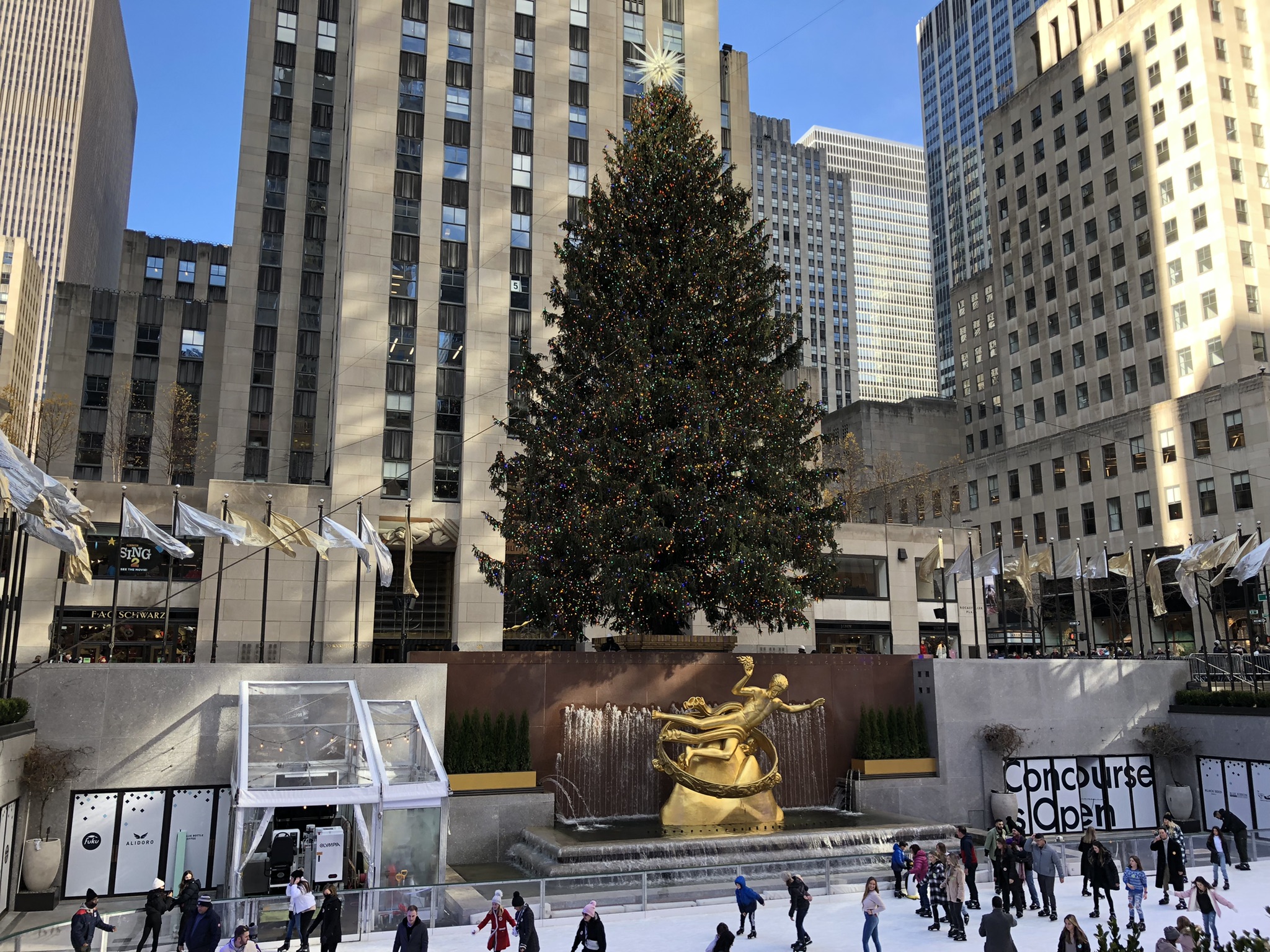 Rockefeller Christmas Tree NYC